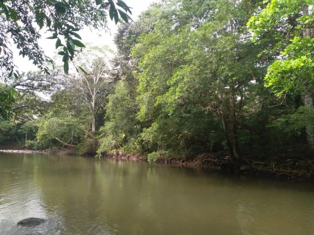 Lugar donde ocurrió la crecida.