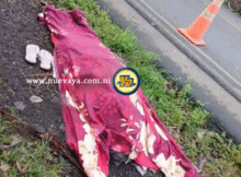 Tras el accidente brutal.