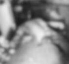 Escena del horrendo crimen.