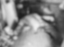 Escena del horrendo crimen.