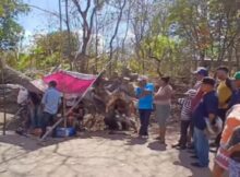 El accidente laboral ocurrió la mañana de este viernes en la comarca Los Huérfanos, municipio de Niquinohomo, Masaya.